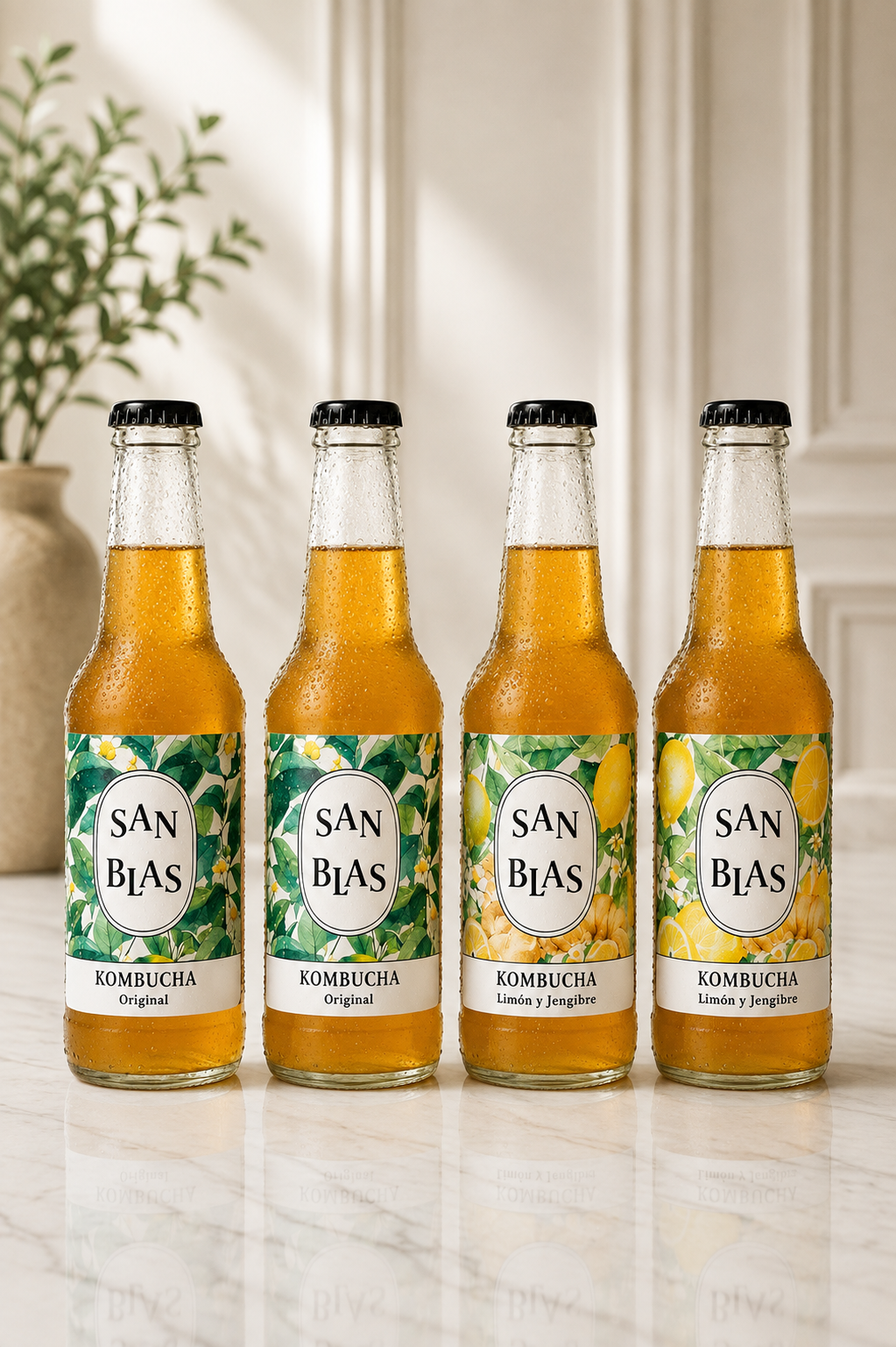 Kombucha Ecológica San Blas | Packs 12 unidades x 250 ml