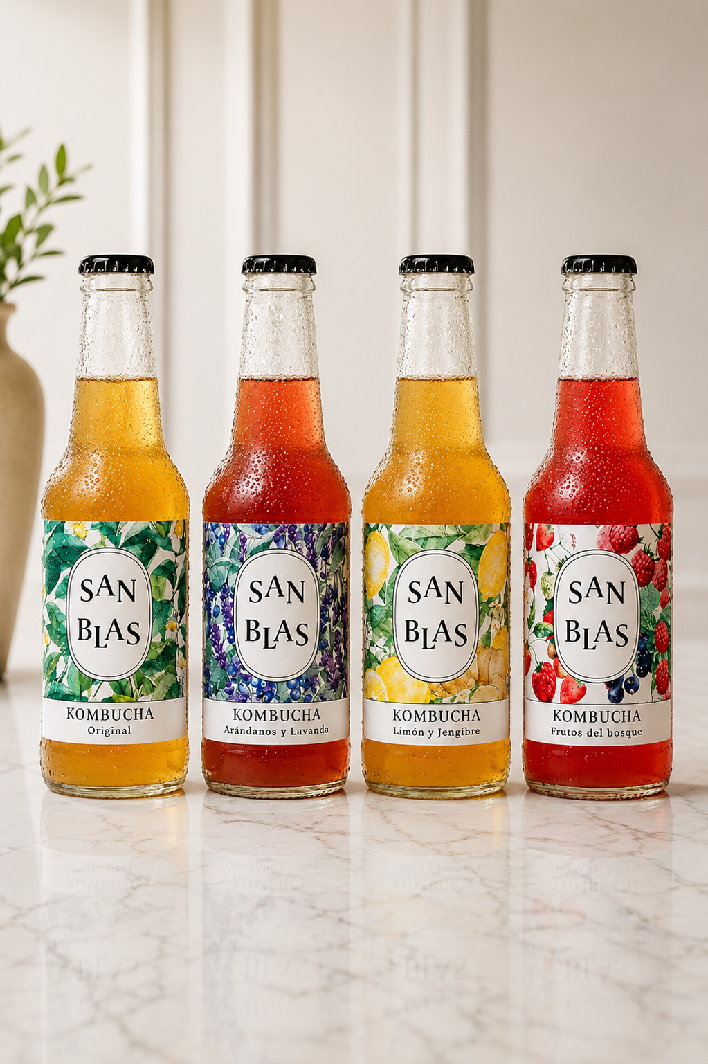 Kombucha Ecológica San Blas | Packs 12 unidades x 250 ml