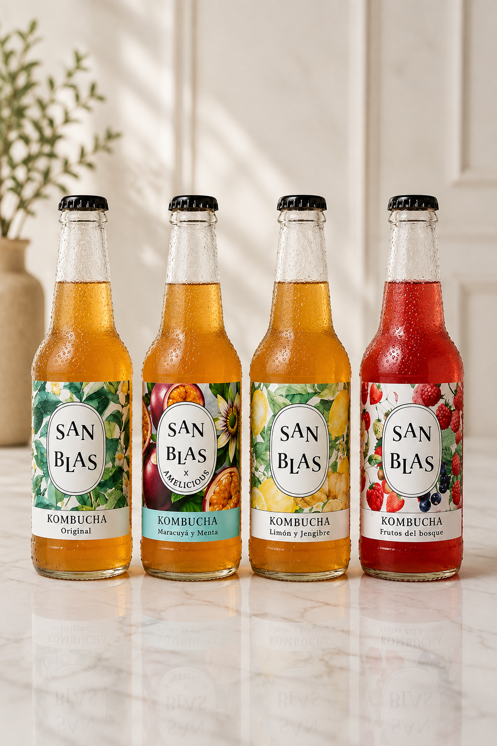 Kombucha Ecológica San Blas | Packs 12 unidades x 250 ml